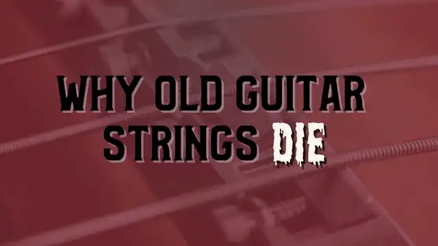 Description of the image