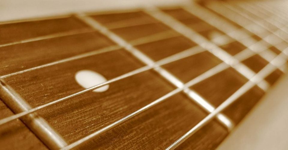 Guitar Fretboard Woods: Why We Use the Woods We Do